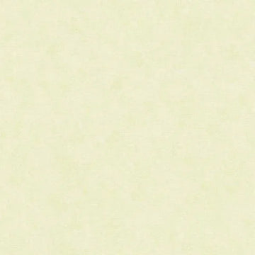 Closeup of a wallpaper showing its Contemporary, Pastels, Unicolour pattern, color, and texture.