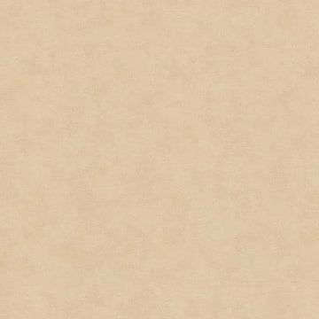 Closeup of a wallpaper showing its Contemporary, Neutrals, Unicolour pattern, color, and texture.