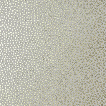 Closeup of a wallpaper showing its Best-Seller, Contemporary, Dots, Kids, Neutrals, Two-tone pattern, color, and subtle texture.
