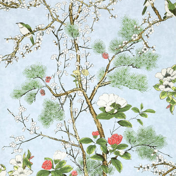 Thibaut Katsura T13620