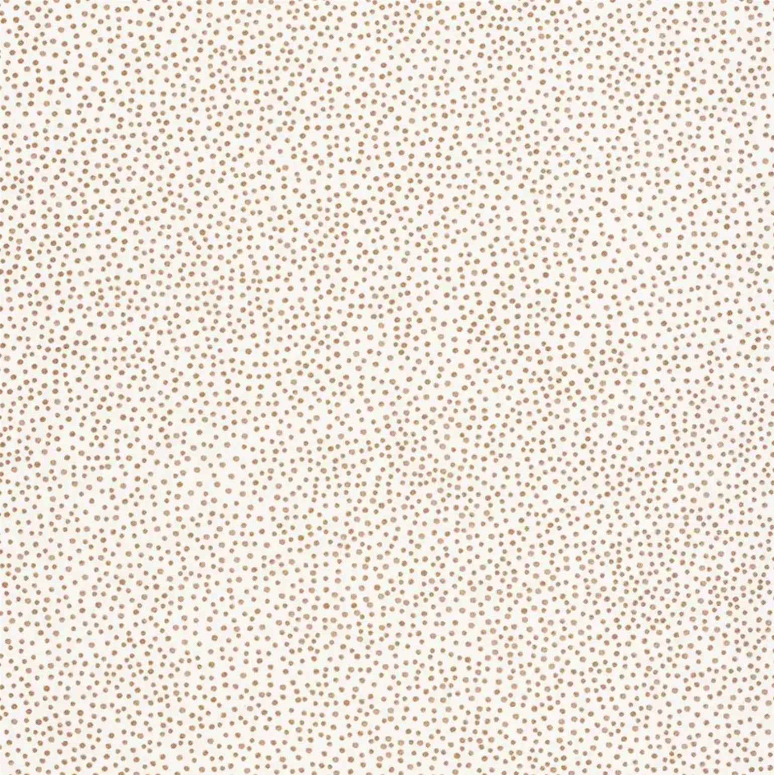 Closeup of a wallpaper showing its Dots, Neutrals pattern, color, and subtle texture.