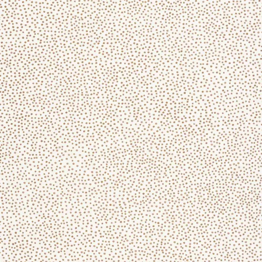 Closeup of a wallpaper showing its Dots, Neutrals pattern, color, and subtle texture.