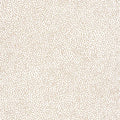 Closeup of a wallpaper showing its Dots, Neutrals pattern, color, and subtle texture.