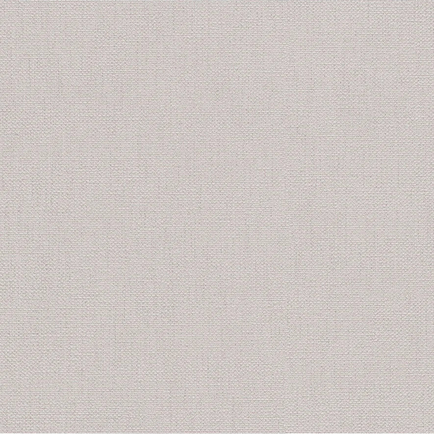 Solid light gray color swatch