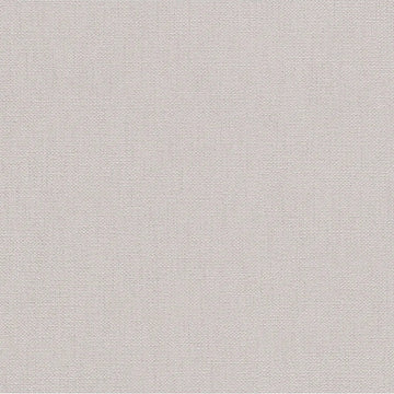 Solid light gray color swatch