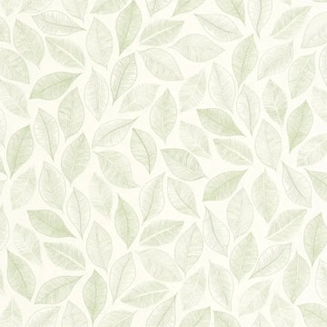 Closeup of a wallpaper showing its Nature, Pastels pattern, color, and subtle texture.