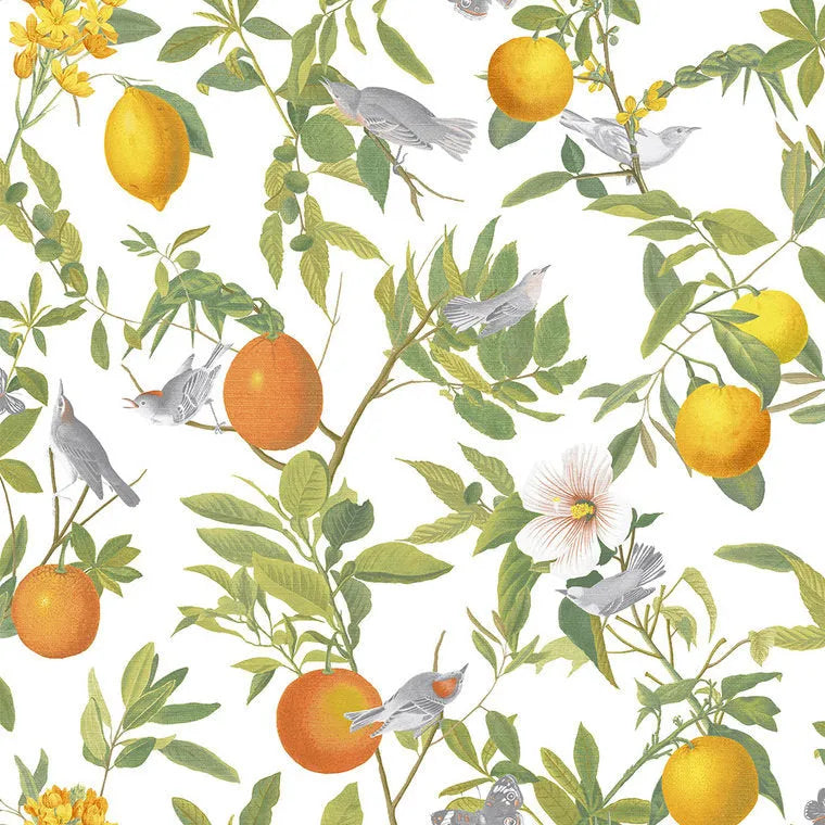 Closeup of a wallpaper showing its Birds, Floral, Mediterranean, Multicolour, Nature, Sun-Kissed, White, Yellow pattern, color, and subtle texture.