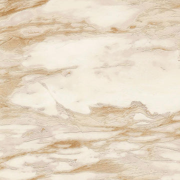 Roberto Cavalli Home No 9 - RC21024
