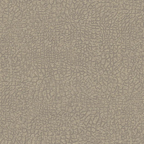 Wallpaper installed in a room showing its full pattern, color