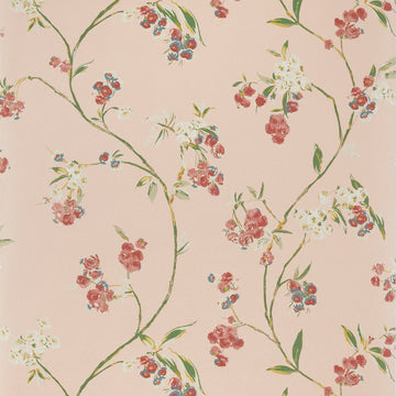 Anna French Edo Bloom AT16155