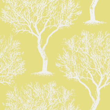 Anna French Winfell Forest AT6003