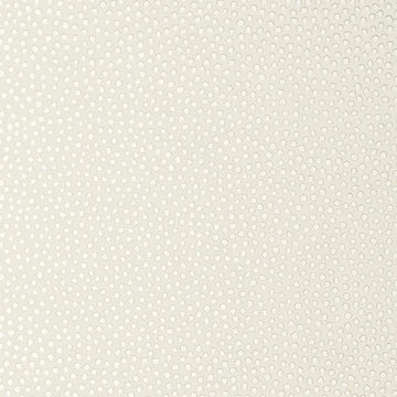 Closeup of a wallpaper showing its Contemporary, Dots, Kids, Pastels, Two-tone pattern, color, and subtle texture.