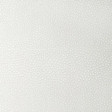 Closeup of a wallpaper showing its Contemporary, Dots, Kids, Monochrome, Two-tone pattern, color, and subtle texture.