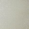 Closeup of a wallpaper showing its Best-Seller, Contemporary, Dots, Kids, Neutrals, Two-tone pattern, color, and subtle texture.