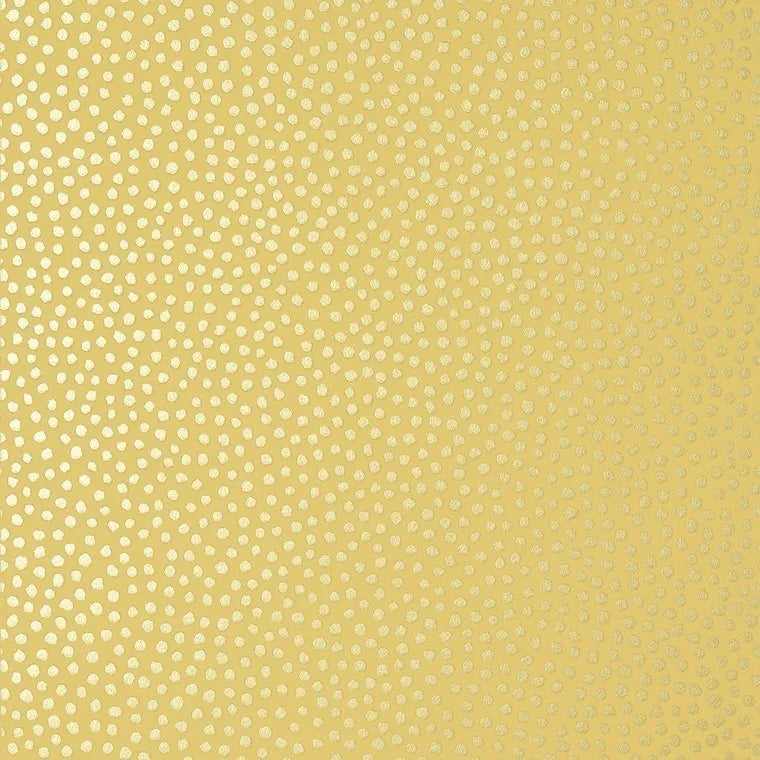 Closeup of a wallpaper showing its Contemporary, Dots, Kids, Two-tone pattern, color, and subtle texture.