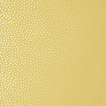 Closeup of a wallpaper showing its Contemporary, Dots, Kids, Two-tone pattern, color, and subtle texture.