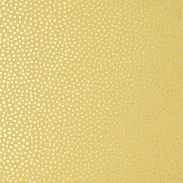 Closeup of a wallpaper showing its Contemporary, Dots, Kids, Two-tone pattern, color, and subtle texture.