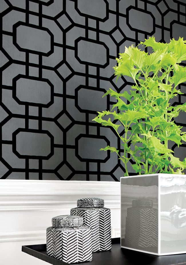 Thibaut Portier Flock T11001