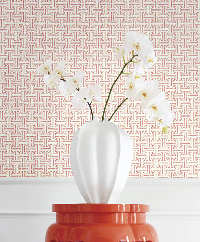 Thibaut Taza T35171