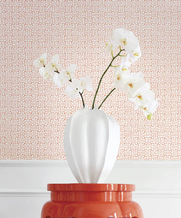 Thibaut Taza T35171
