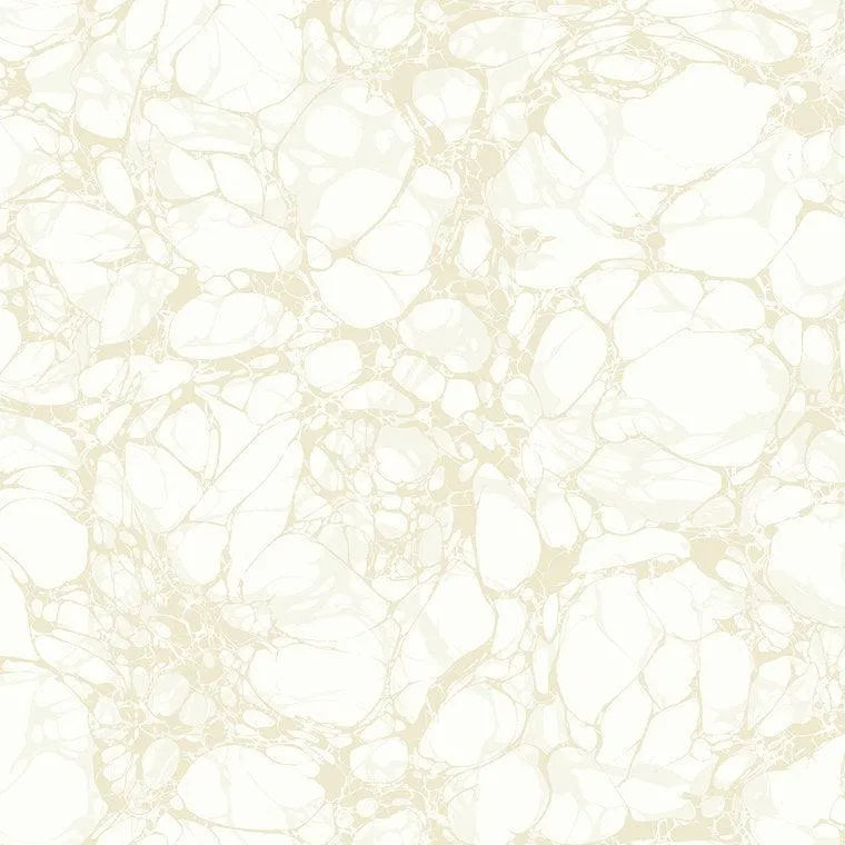 Closeup of a wallpaper showing its Abstract, Neutrals, Two-tone pattern, color, and subtle texture.