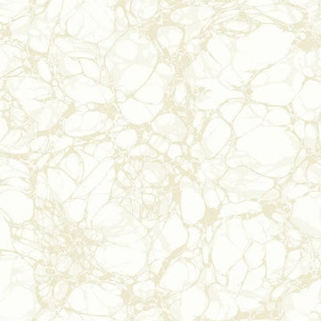 Closeup of a wallpaper showing its Abstract, Neutrals, Two-tone pattern, color, and subtle texture.