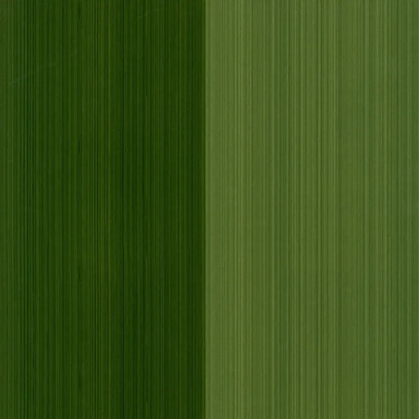 Closeup of a wallpaper showing its Contemporary, Green, Stripes, Two-tone pattern, color, and subtle texture.