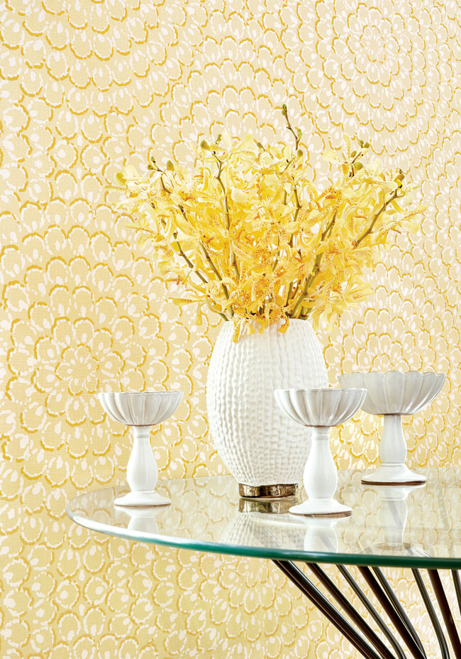 Thibaut Aster T4035