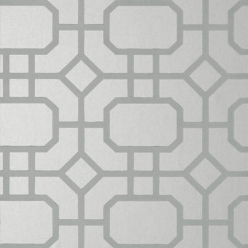 Thibaut Portier Flock T11001
