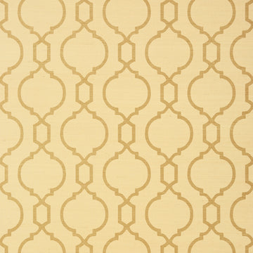 Thibaut Cortney T11072