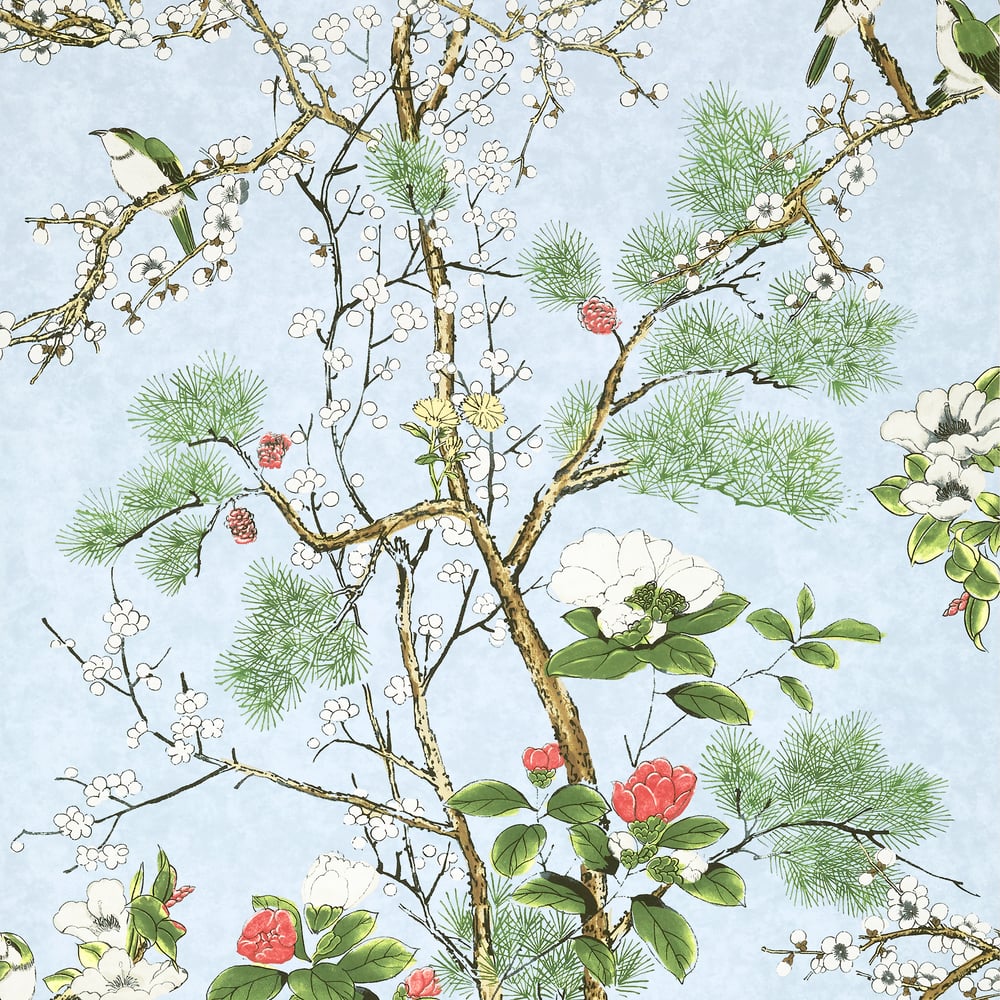 Thibaut Katsura T13620