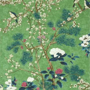 Thibaut Katsura T13623