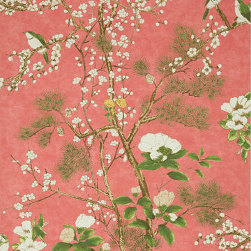 Thibaut Katsura T13624