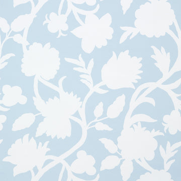 Thibaut Cabrera T35136