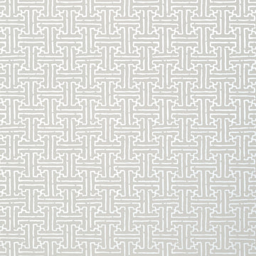 Thibaut Taza T35166