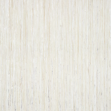 Thibaut Nira T3987