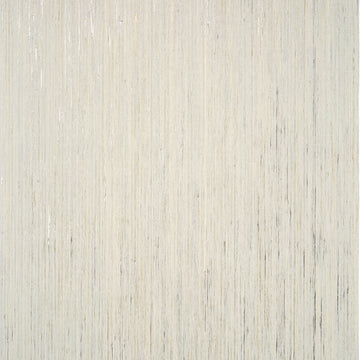 Thibaut Nira T3988