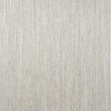 Thibaut Nira T3990