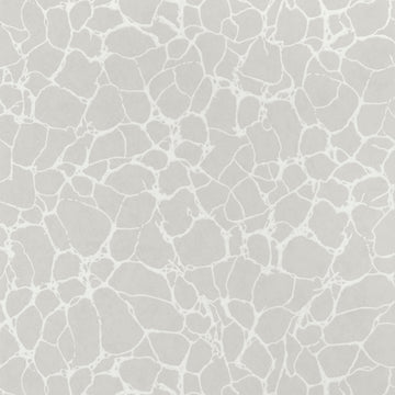 Thibaut Amato T4015