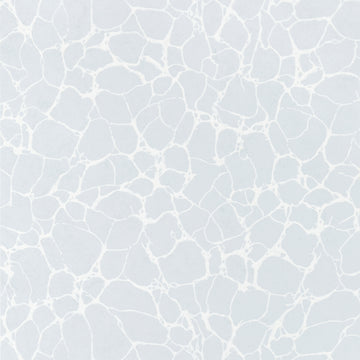 Thibaut Amato T4016