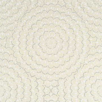 Thibaut Aster T4030