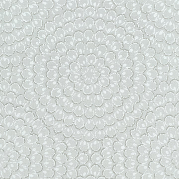 Thibaut Aster T4031