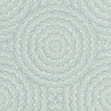Thibaut Aster T4033