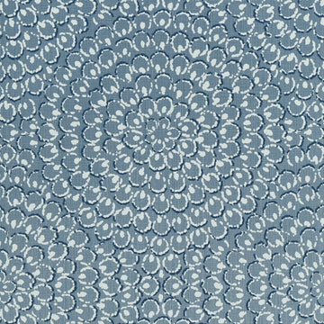 Thibaut Aster T4034