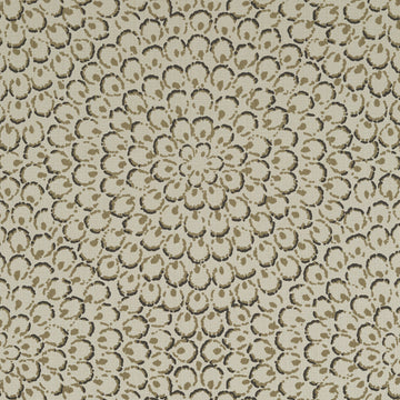 Thibaut Aster T4035