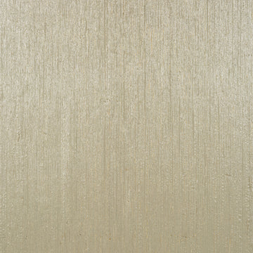 Thibaut Nira T4047