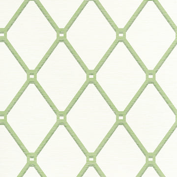 Thibaut Easom Trellis T4051