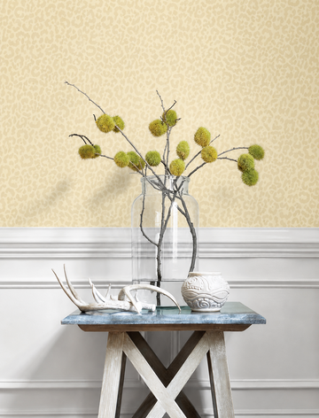 Thibaut Javan T11007