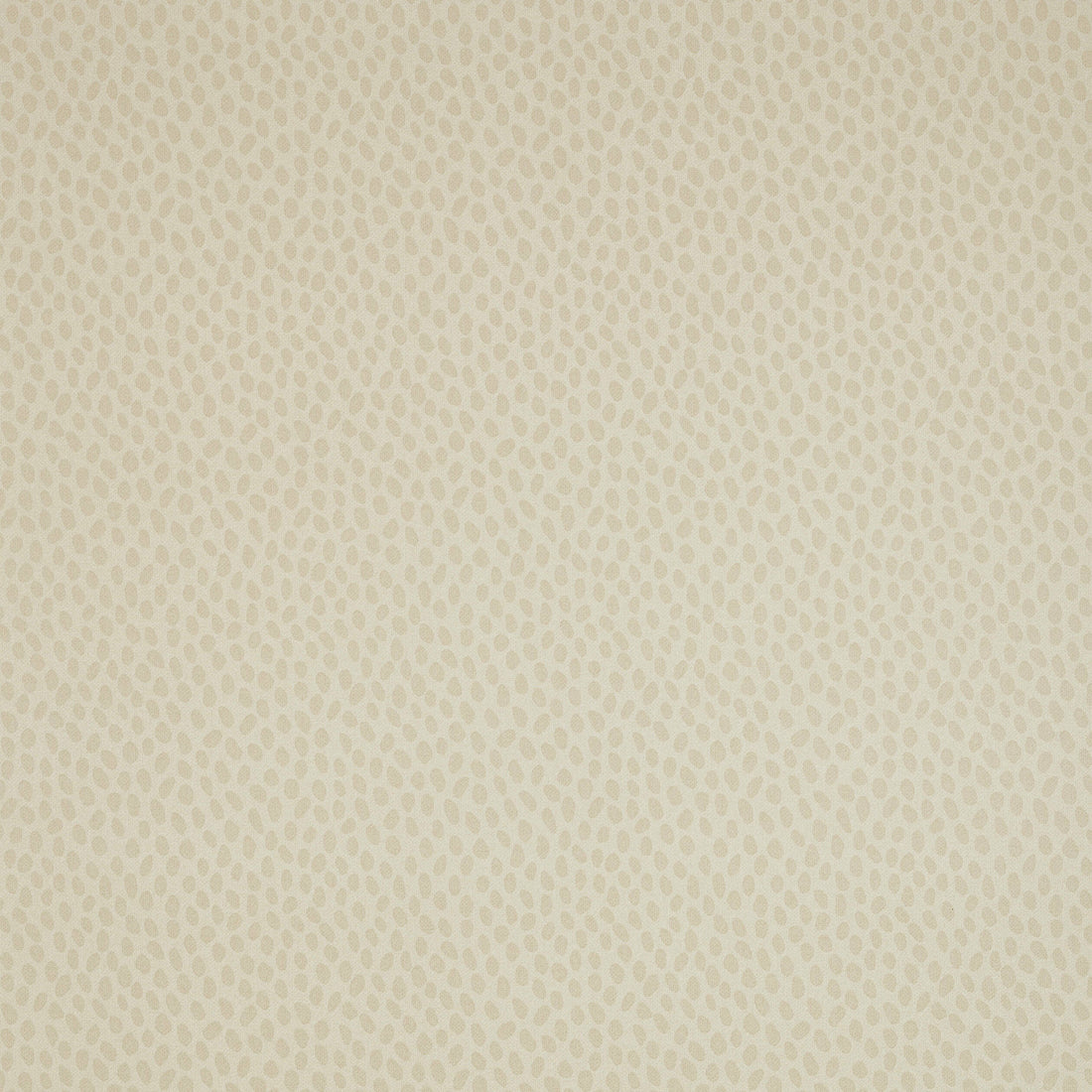Anna French Spot On AT1411 wallpaper in beige on cream with small organic dots