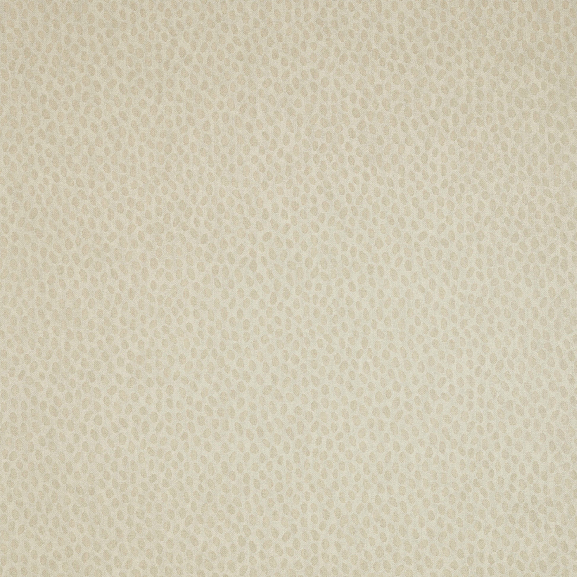 Anna French Spot On AT1411 wallpaper in beige on cream with small organic dots